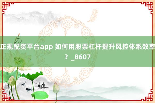 正规配资平台app 如何用股票杠杆提升风控体系效率？_8607