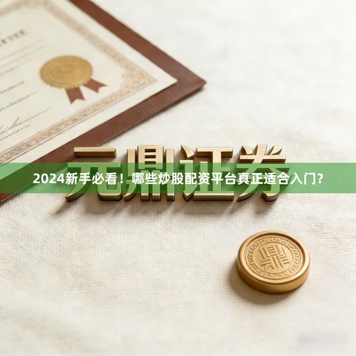 2024新手必看！哪些炒股配资平台真正适合入门？