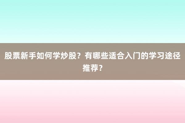 股票新手如何学炒股？有哪些适合入门的学习途径推荐？