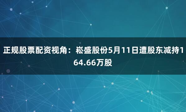 正规股票配资视角：崧盛股份5月11日遭股东减持164.66万股