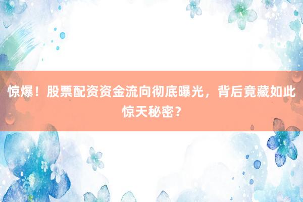 惊爆！股票配资资金流向彻底曝光，背后竟藏如此惊天秘密？