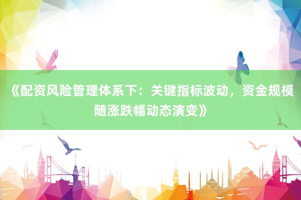 《配资风险管理体系下：关键指标波动，资金规模随涨跌幅动态演变》