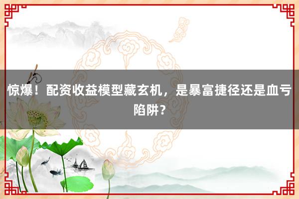 惊爆！配资收益模型藏玄机，是暴富捷径还是血亏陷阱？