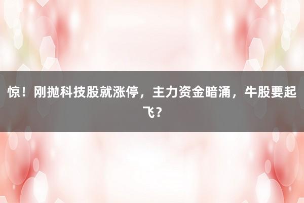 惊！刚抛科技股就涨停，主力资金暗涌，牛股要起飞？
