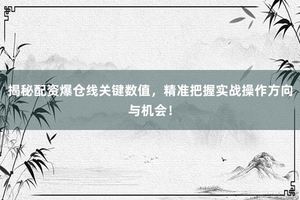 揭秘配资爆仓线关键数值，精准把握实战操作方向与机会！