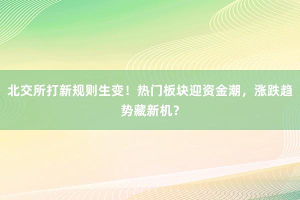 北交所打新规则生变！热门板块迎资金潮，涨跌趋势藏新机？
