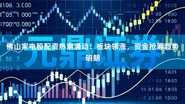 佛山家电股配资热潮涌动！板块领涨，资金抢筹趋势明朗