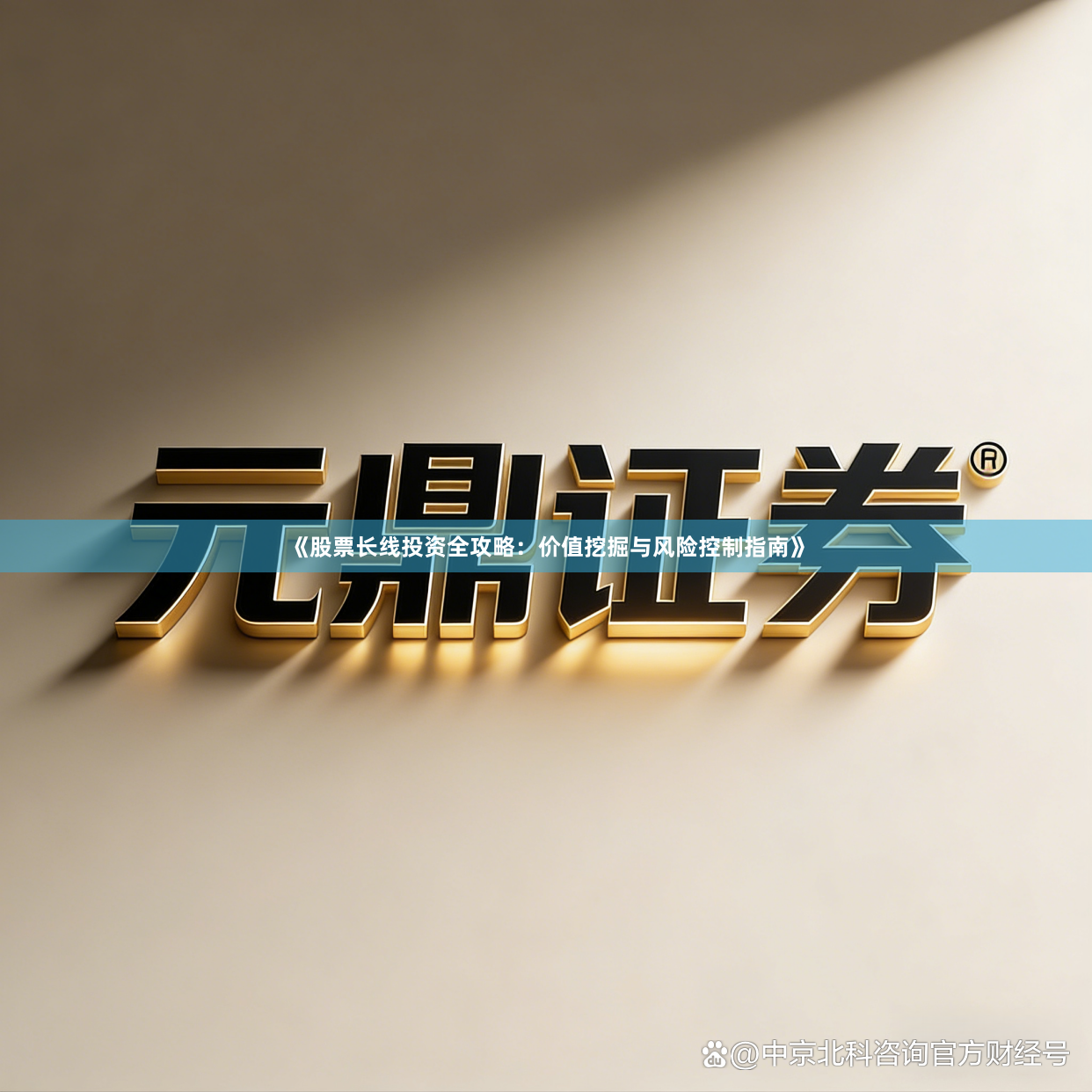 《股票长线投资全攻略：价值挖掘与风险控制指南》