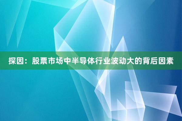探因：股票市场中半导体行业波动大的背后因素