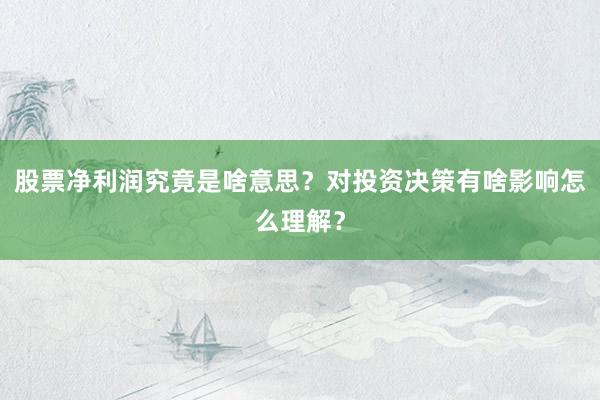 股票净利润究竟是啥意思？对投资决策有啥影响怎么理解？