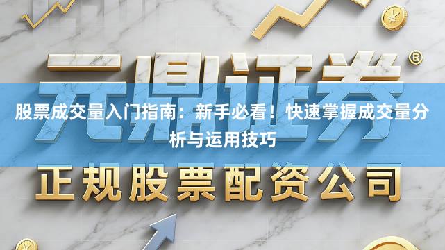 股票成交量入门指南：新手必看！快速掌握成交量分析与运用技巧
