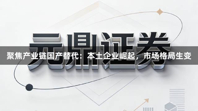 聚焦产业链国产替代：本土企业崛起，市场格局生变