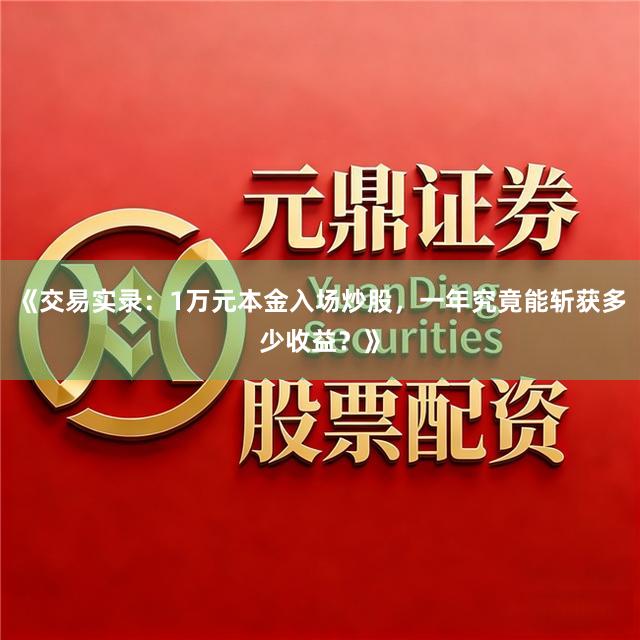《交易实录：1万元本金入场炒股，一年究竟能斩获多少收益？》