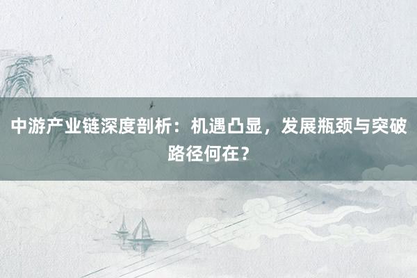 中游产业链深度剖析：机遇凸显，发展瓶颈与突破路径何在？