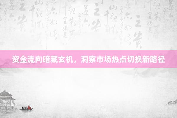 资金流向暗藏玄机，洞察市场热点切换新路径
