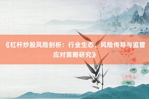 《杠杆炒股风险剖析：行业生态、风险传导与监管应对策略研究》