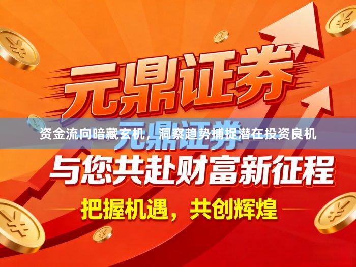 资金流向暗藏玄机，洞察趋势捕捉潜在投资良机