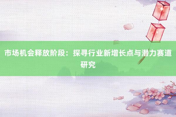 市场机会释放阶段：探寻行业新增长点与潜力赛道研究