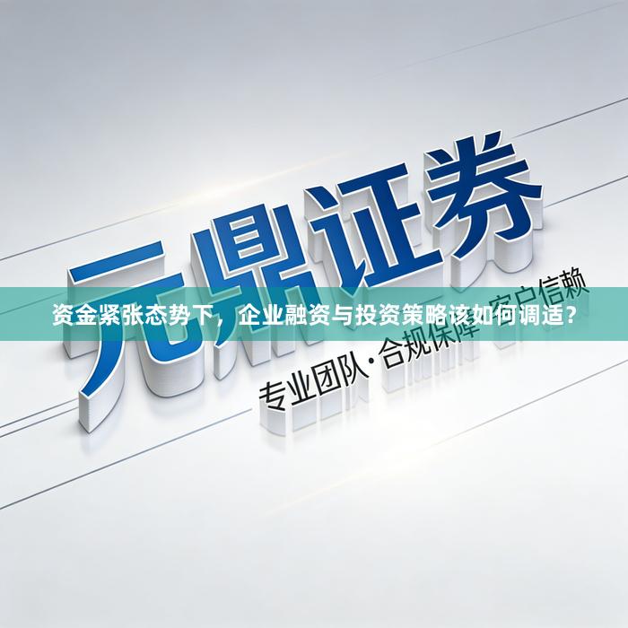 资金紧张态势下,企业融资与投资策略该如何调适?
