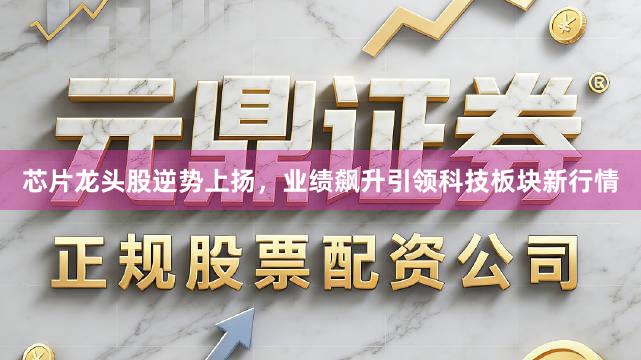 芯片龙头股逆势上扬，业绩飙升引领科技板块新行情