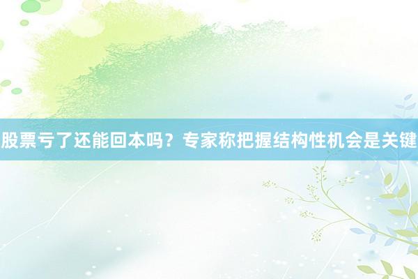 股票亏了还能回本吗？专家称把握结构性机会是关键