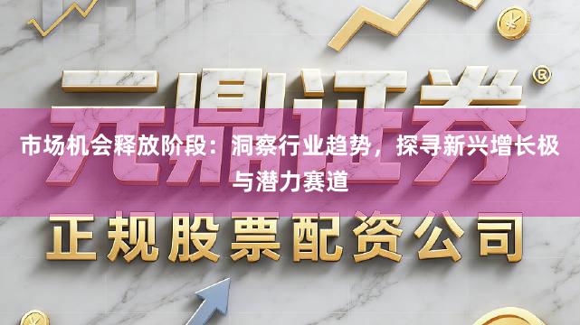 市场机会释放阶段：洞察行业趋势，探寻新兴增长极与潜力赛道