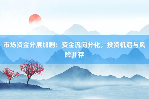 市场资金分层加剧：资金流向分化，投资机遇与风险并存